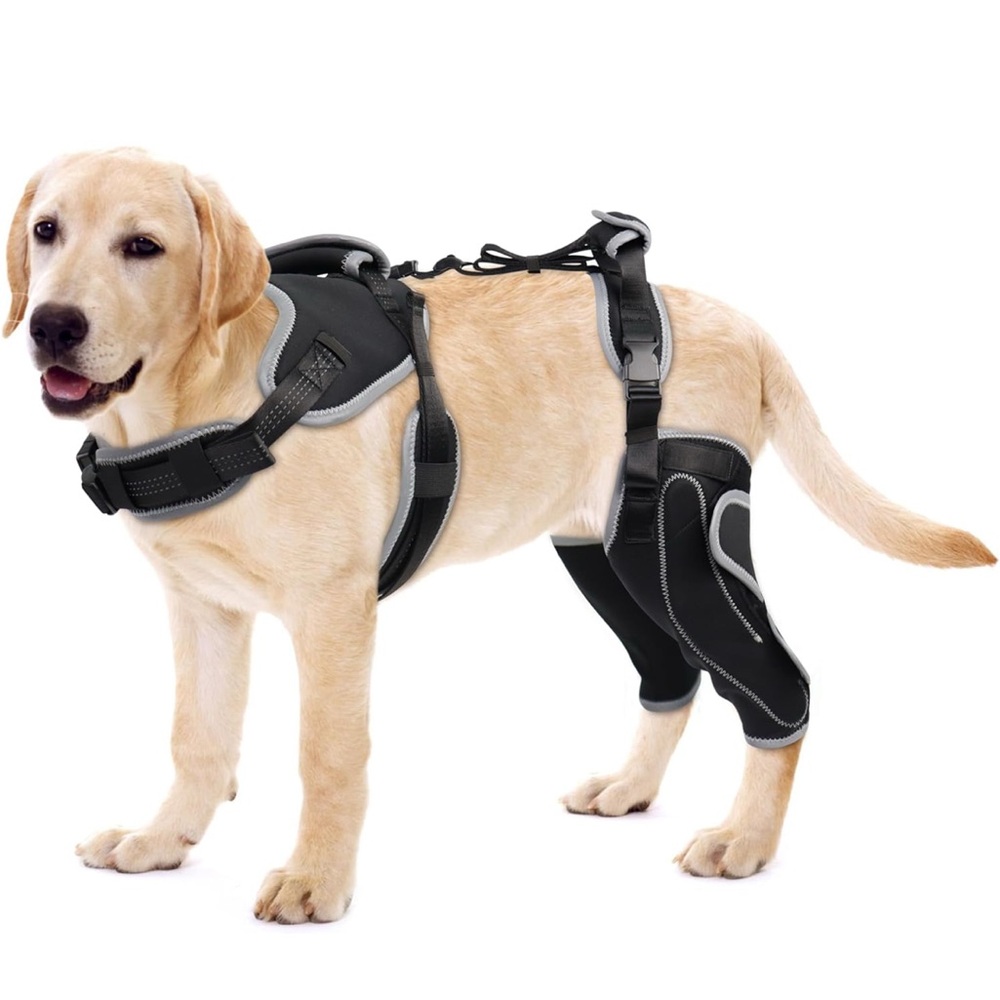 Premium Black and Gray Dog Support Harness